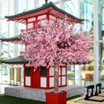 WhatsApp Image 2022-07-26 at 12.44.18-9de3b028