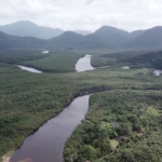 Mata Atlântica Litoral Sul de SP - Mosaico Jureia. Foto Ed Davies-55a77f32