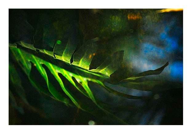 150 anos Jockey Clube SP e ICELA