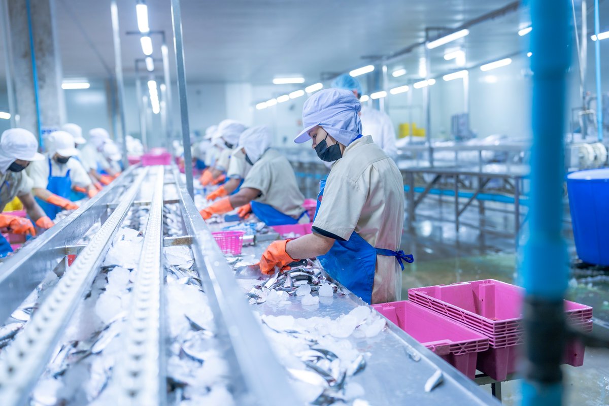 terceirização na indústria